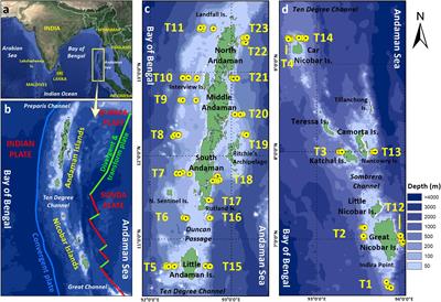 Distinctive Community Patterns With Exceptional Diversity of Polychaetes Around a Tectonically Active Archipelago in the Tropical Indian Ocean